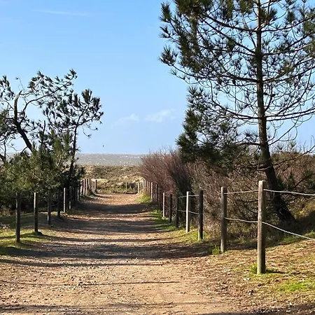 Confort Entre Et Commerces à - Fr-1-364-55