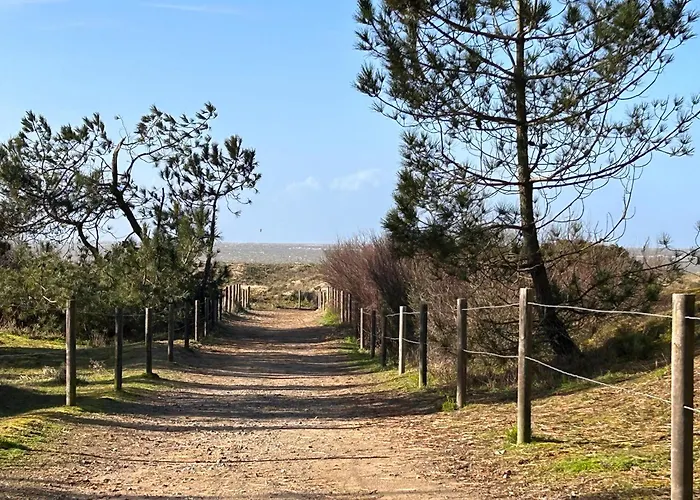 Confort Entre Et Commerces A - Fr-1-364-55